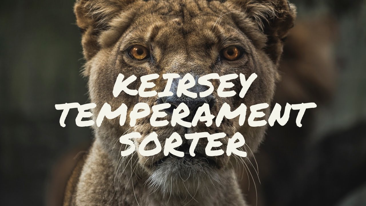 Keirsey Temperament Sorter You'll learn to understand