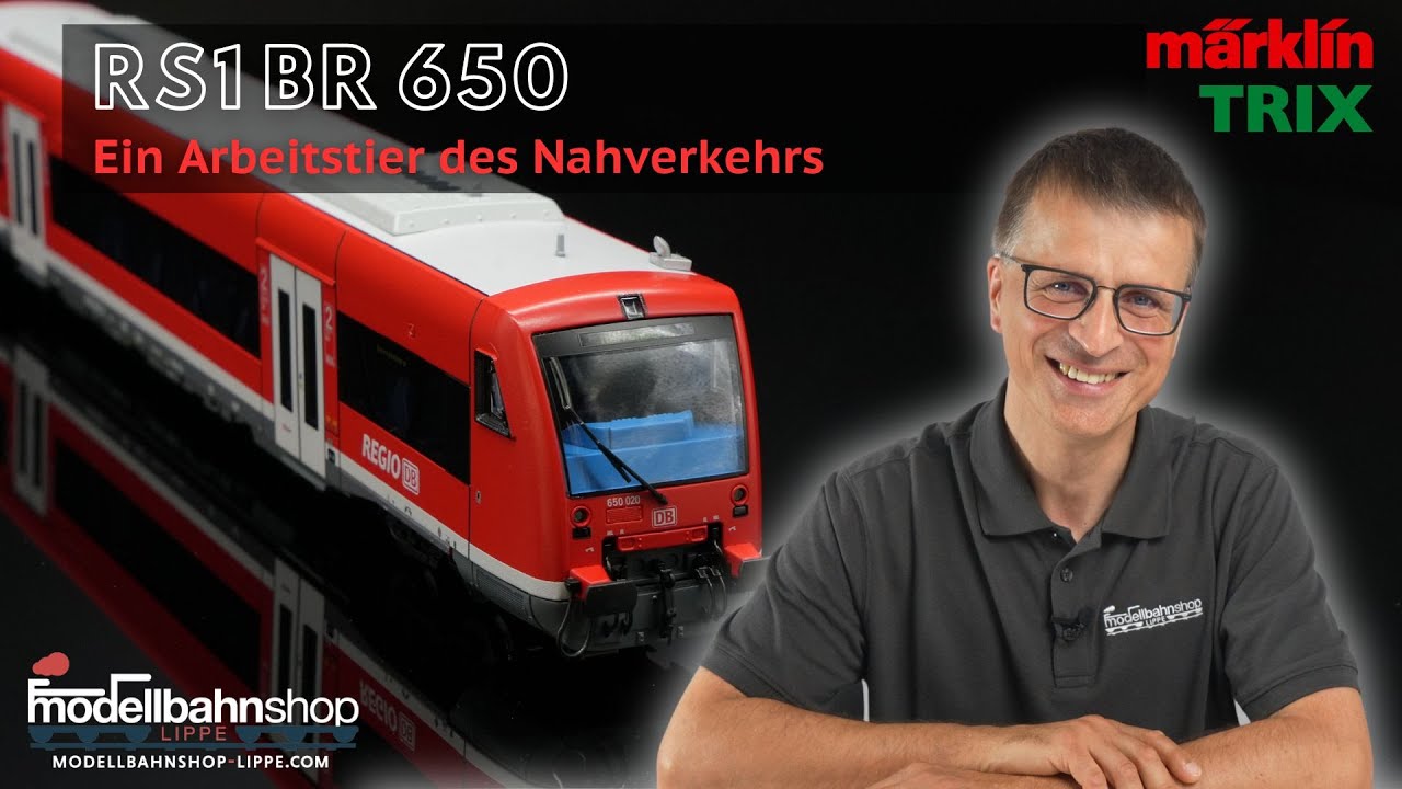 Ein Arbeitstier des Nahverkehrs | BR 650 | Dieseltriebwagen | DB AG | VI | H0 | MSL | Märklin | Trix