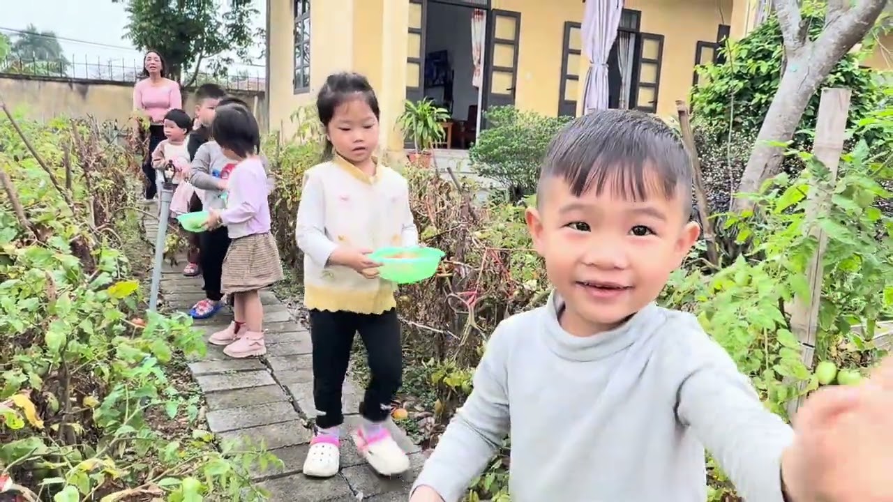 HOẠT ĐỘNG TRẢI NGHIỆM THU HOẠCH CÀ CHUA CỦA CÁC BÉ TRƯỜNG MẦM NON ĐỒNG PHÚ
