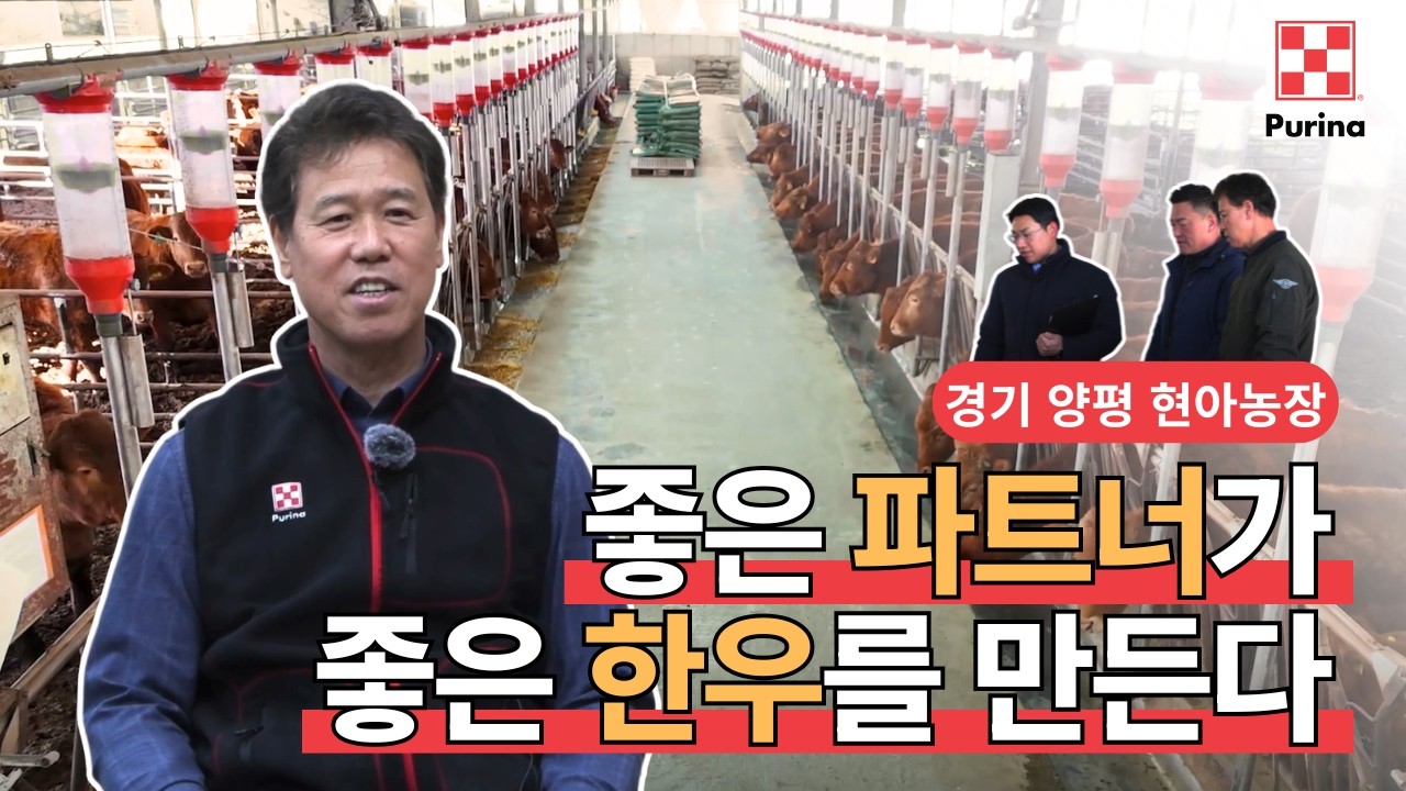 좋은 파트너가 좋은 한우를 만든다 | 히든챔피언을 찾아서[경기 양평 현아농장]