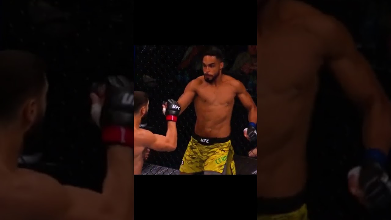 Ibo Aslan vs Raffael Cerqueira #iboaslan #Iboaslan #Raffaelcerqueria  #ufc #mma #shortvideo