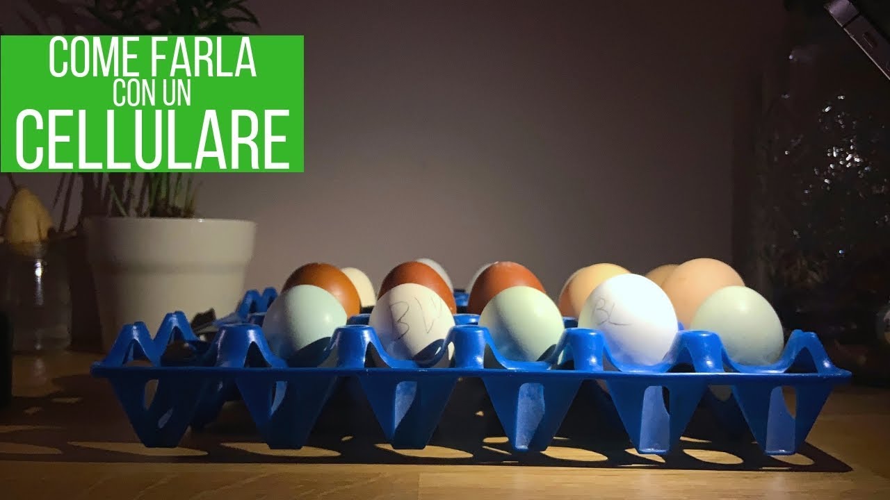 Come fare la speratura delle uova | Allevare galline