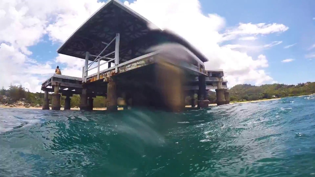 Scuba diving and snorkelling - Magnetic Island, Townsville