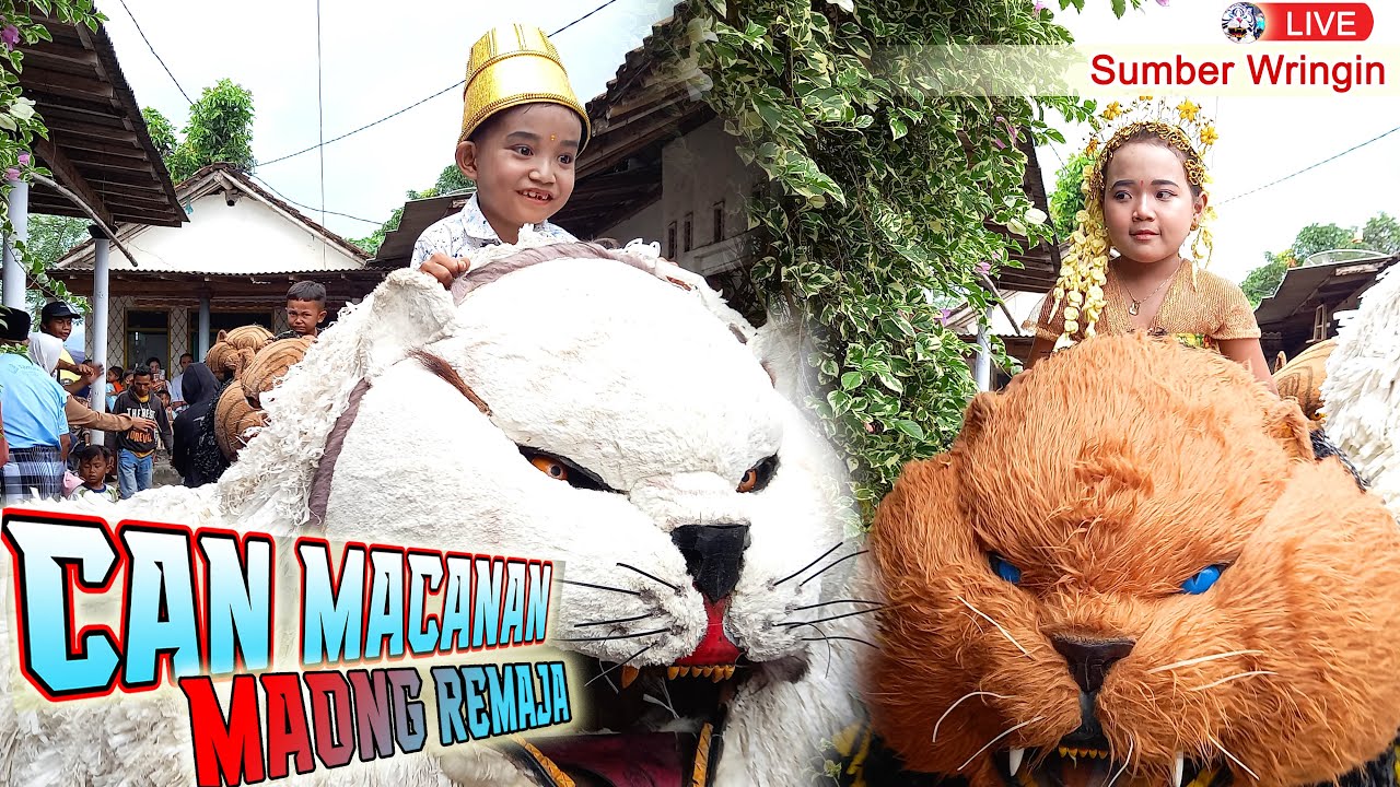CAN MACANAN MAONG REMAJA LIVE SUMBERWRINGIN SUKOWONO