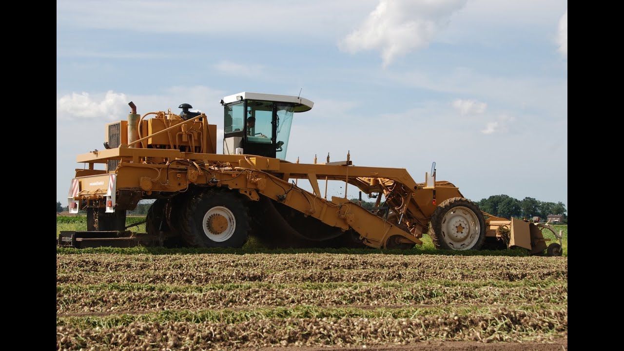 Pouchain Uienrooier / Self-propelled Onion Harvester- Loonbedrijf Van Driel