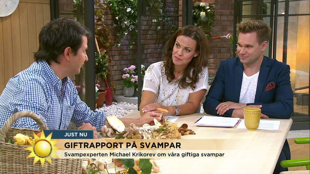 D&ouml;dligt giftig svamp - S&aring; vet du vilken svamp som kan &auml;tas - Nyhetsmorgon (TV4)