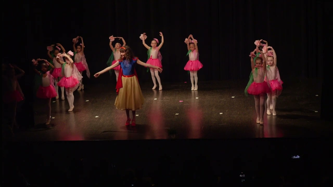 Spectacle de danse 