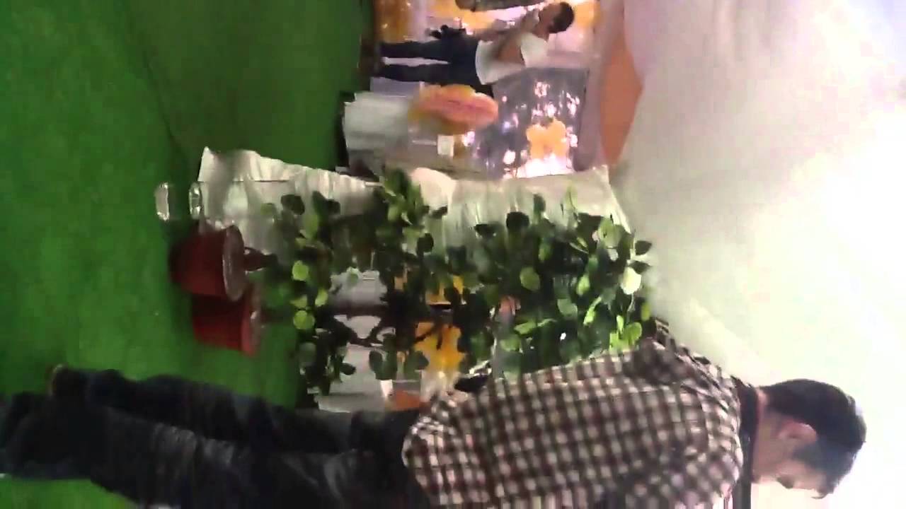 Егор Дергачев битбокс на свадьбе