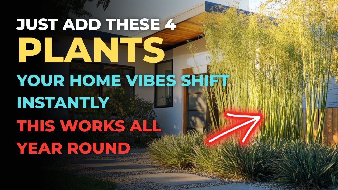 4 Magical Plants That Bring Positive Energy to Your Home All Year Round