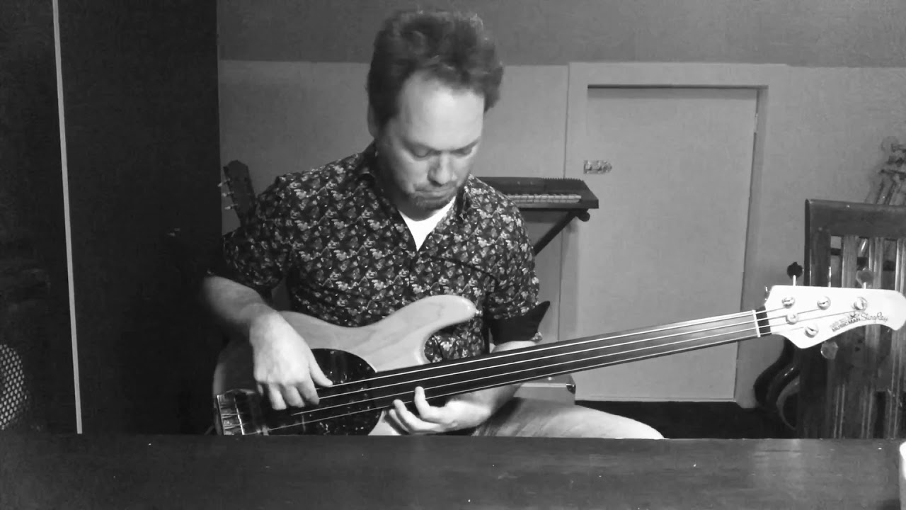 Talk Talk - Renee fretless bass cover