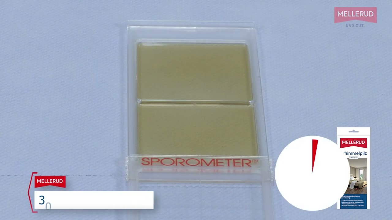 Schimmelpilz Test für zu Hause | MELLERUD Schimmelpilz Schnelltest