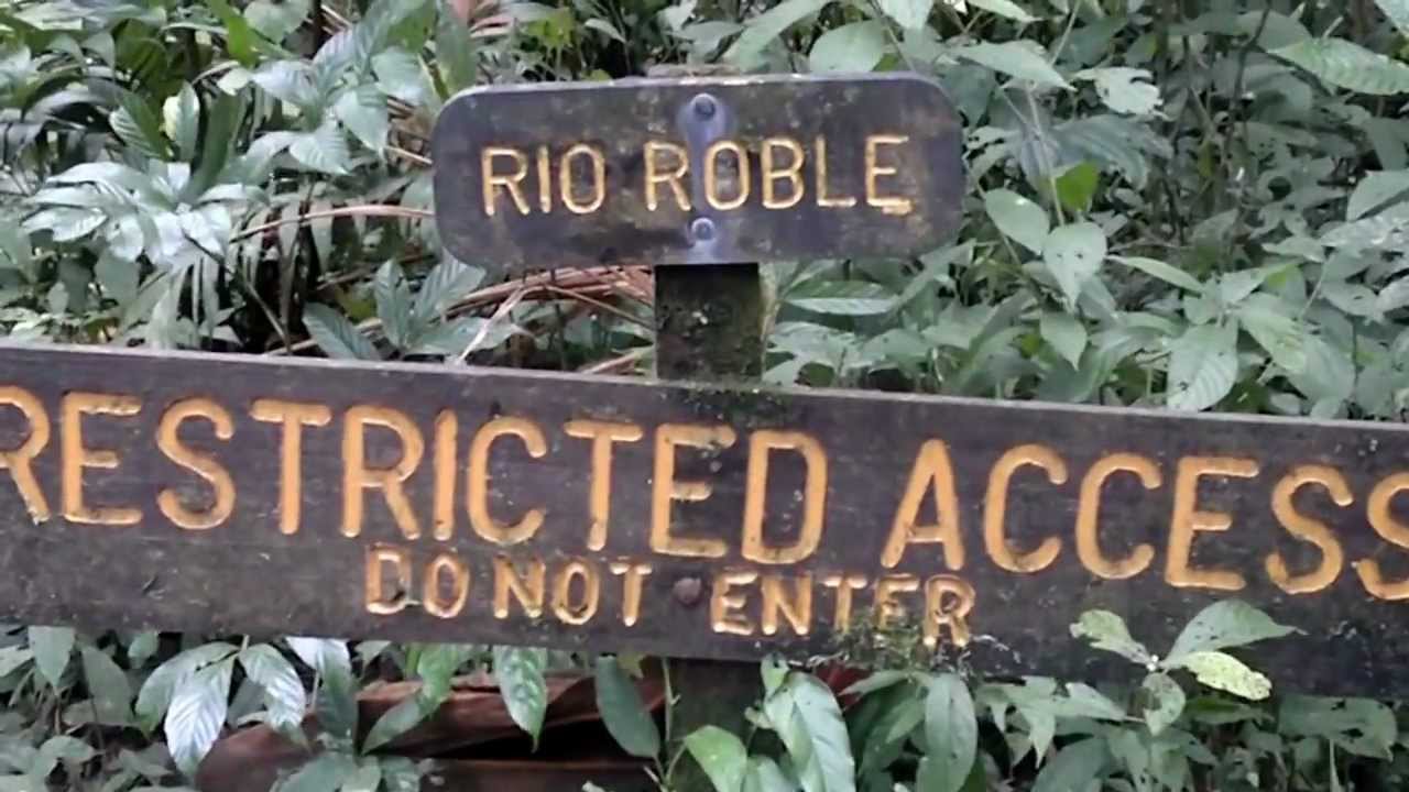 Los ti&ntilde;ideros del Rio Celeste Volcan Tenorio