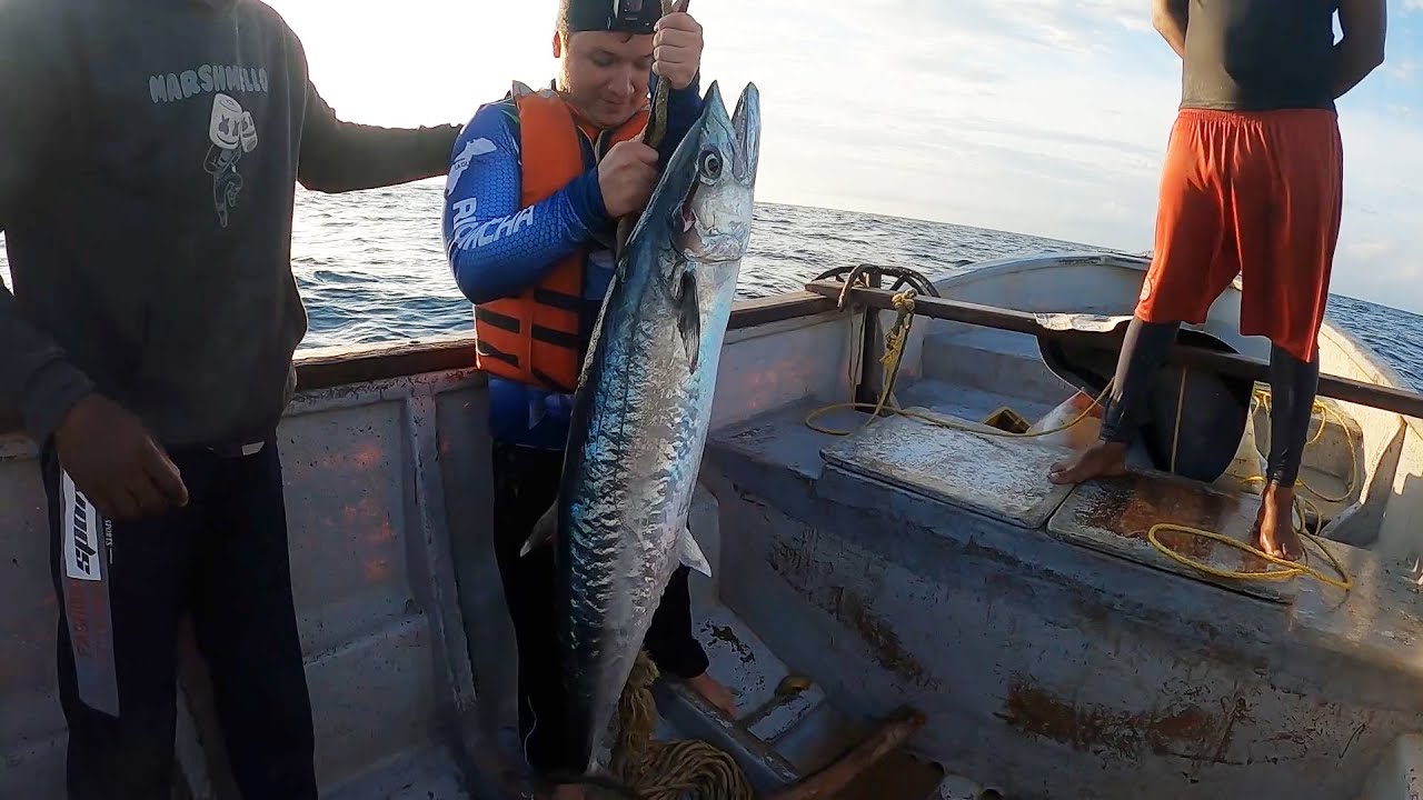 La mejor pesca que hemos hecho en el Mar. Pesca de fondo pesca de trolling.