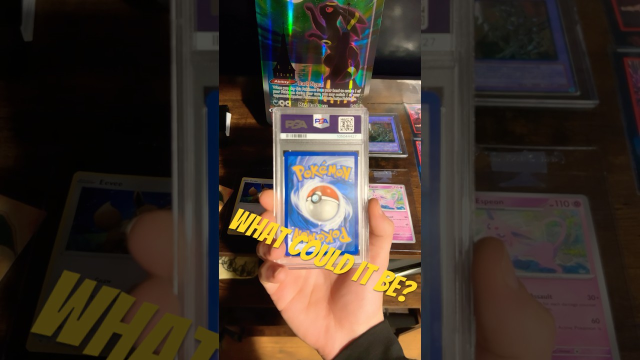 PSA 10 Charizard EX #pokemon #psa10 #shorts #pokemoncards #pokemoncommunity #cards #charizard