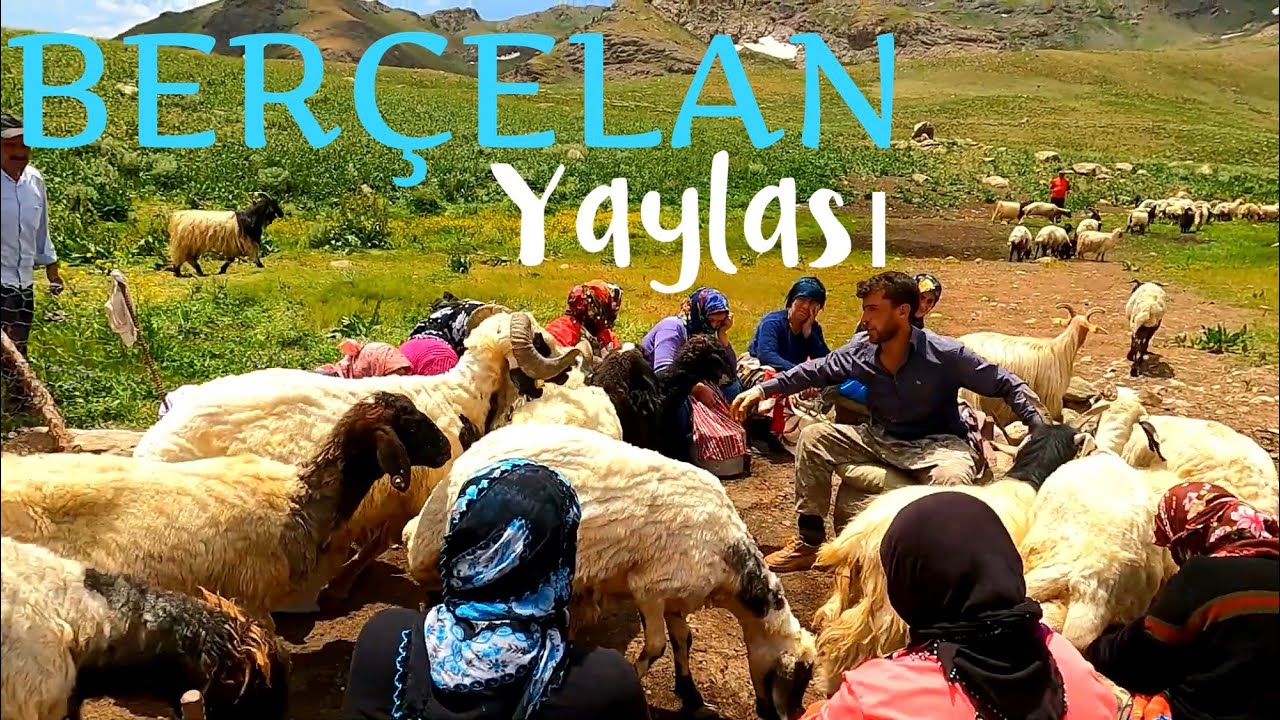 Hakkari - Berçelan Yaylası