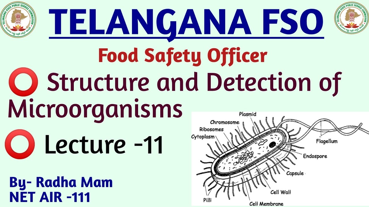 Structure and Detection of Microorganisms  | L-11 | Telangana FSO Classes | TSPSC FSO 2022