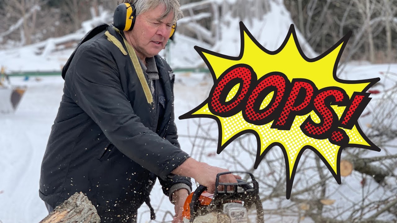 OH CRAP ... We Messed Up Cutting Black Walnut Tree!