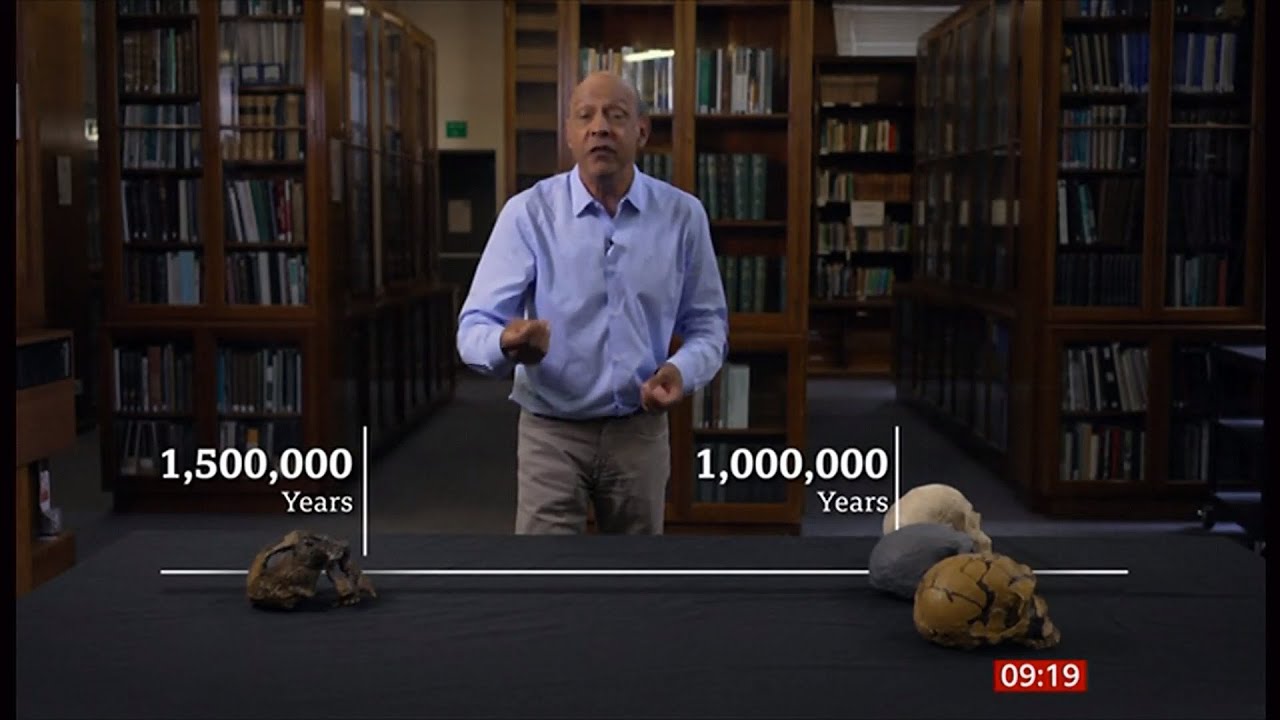Million-year-old skull &lsquo;rewrites human evolution&rsquo; (Global) 26/Sep/2025