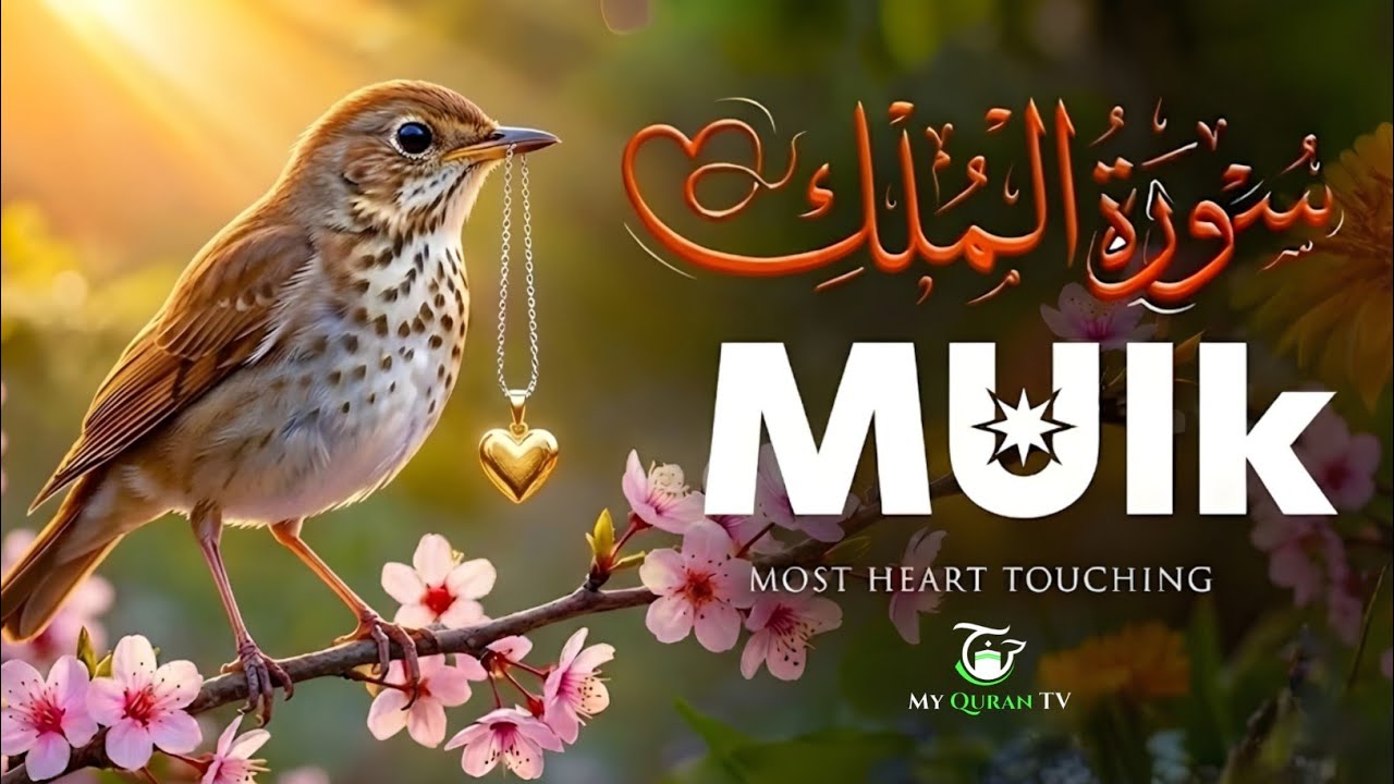 Surah Al-Mulk (سورة الملك) | Most Emotional & Powerful Quran Recitation for Peaceful Sleep