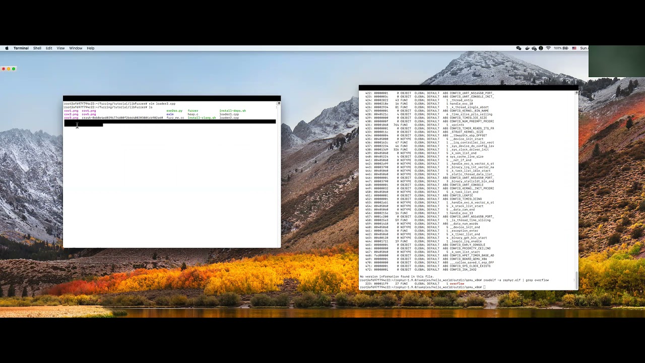 Tutorial: Using Libfuzzer to fuzz Zephyr Library/Function without source code.