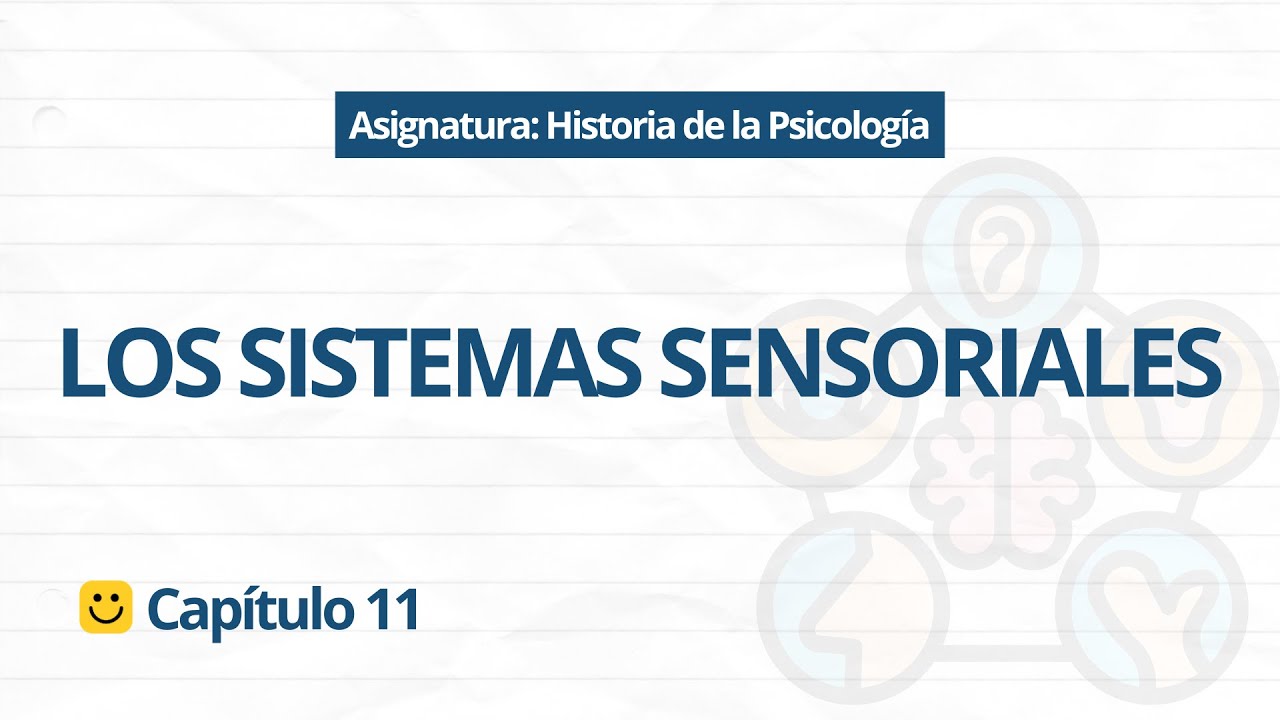 🧠 ¿Cómo Vemos y Sentimos? | Psicobiología Cap. 11