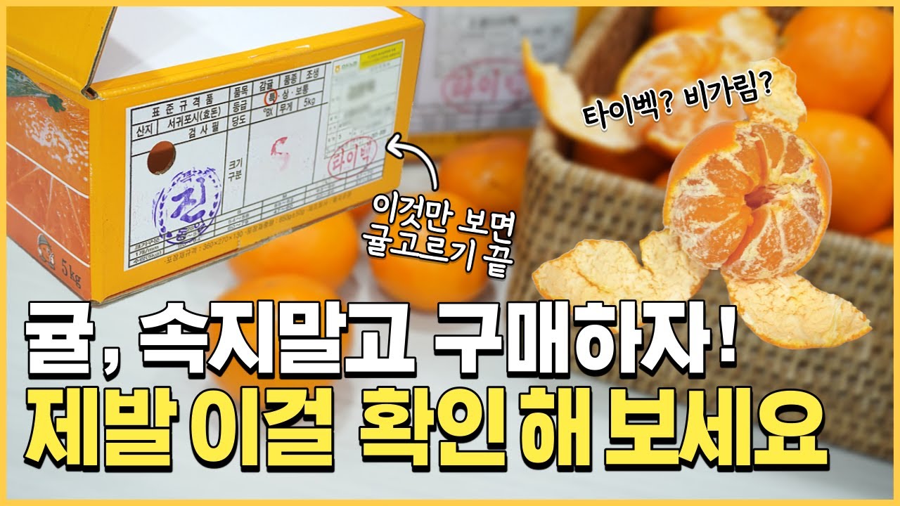 어디에도 없는, 귤 박스 정보 확인하는 법 ! | 타이벡 | 비가림 | 귤 크기 | 보관법 온도 냉장고