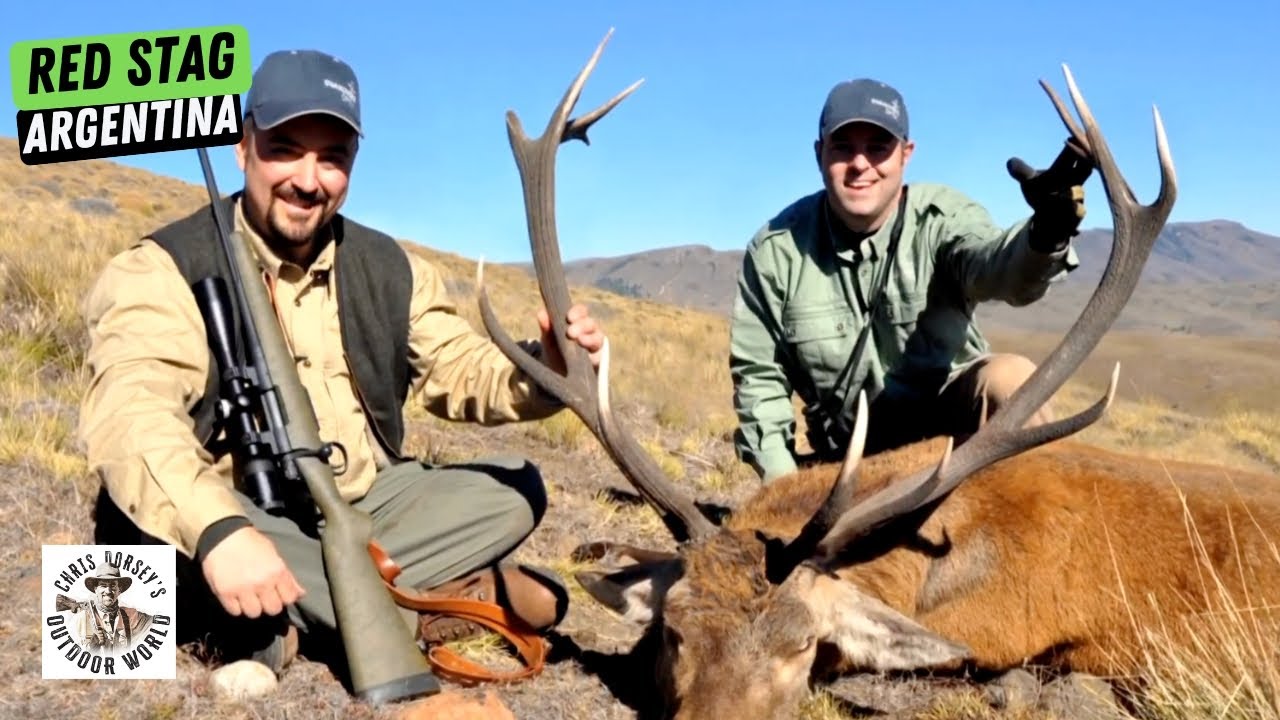 Hunt for Free Range Stag in Argentina