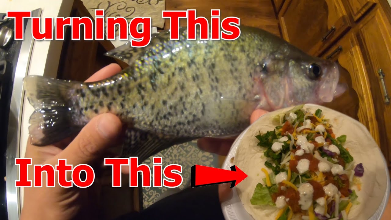 CRAPPIE Fish TACOS!! Catch Clean Cook AMAZING!
