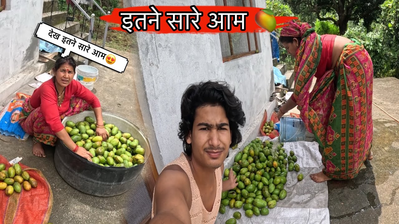 आम के बगीचे से निकले इतने सारे आम😍,ये देखो इतने सारे आम😱।Pahadi lifestyle vlog,mr baaz 