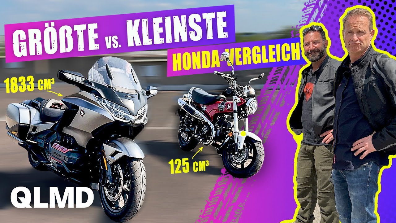 Gold Wing vs. DAX | Größte vs. kleinste Honda | Was bockt mehr? | Matthias Malmedie