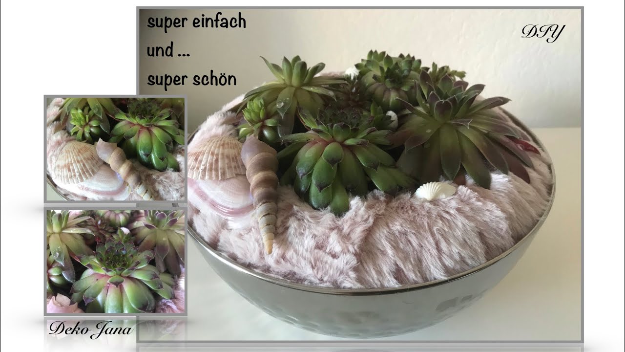 DIY: Wohn.- und Deko Idee, Sukkulenten im Kuschelbett, Sommerdeko #11 🐚🌴, (How to) / Deko Jana