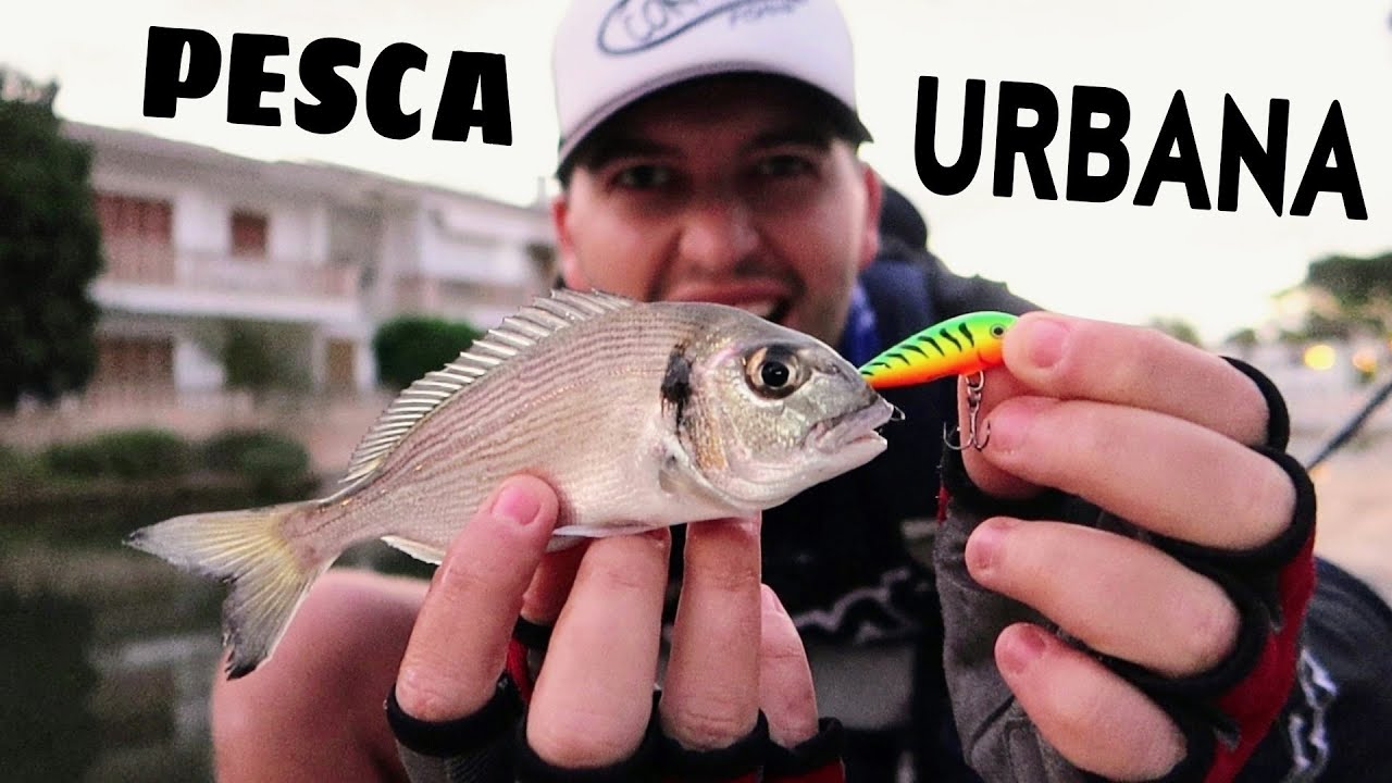 PESCA URBANA dentro de la ciudad! [NUNCA ANTES HAB&Iacute;A PESCADO AQU&Iacute;]