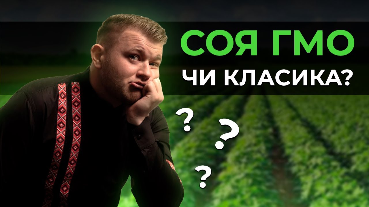 СОЯ ГМО ЧИ КЛАСИКА? ЯКУ ВИРОЩУВАТИ?