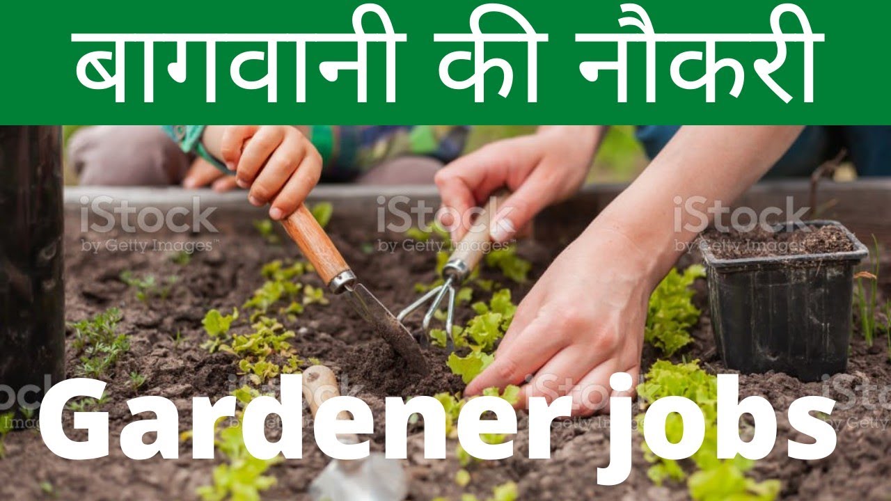 Gardener jobs || Gardener carrier || Gardener Carrier in Dubai @anilsachin4449
