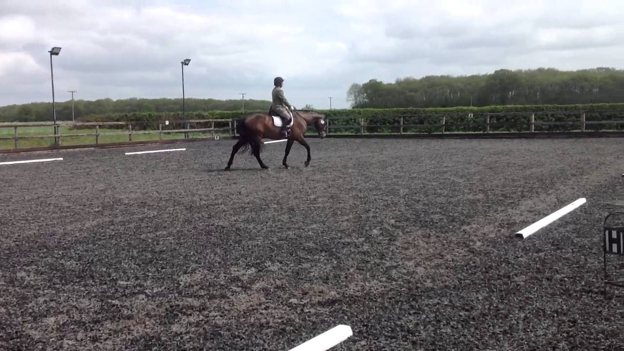 River Angel first time out ridden by Alex Gingell (first te