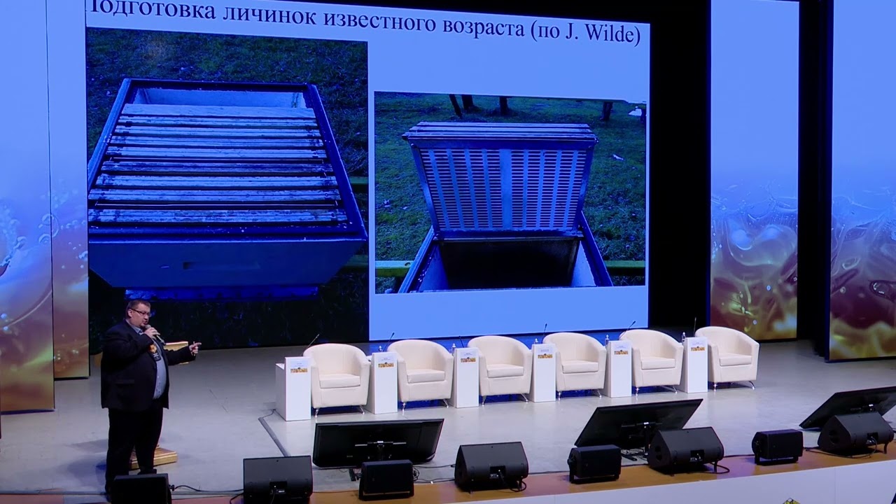 Вывод маток от Дмитрия Рахматулина (Выступление на Апиглобал - 2025)