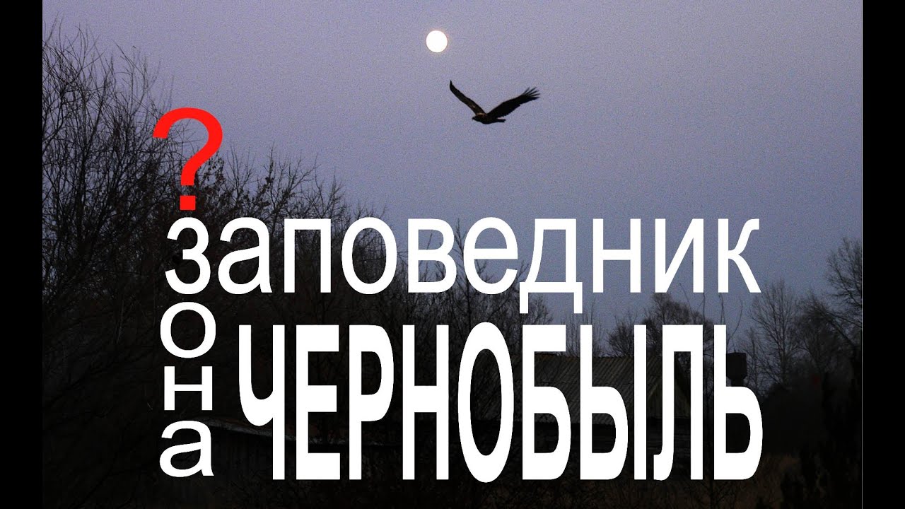 Чернобыль. Заповедник будущего? | Film Studio Aves
