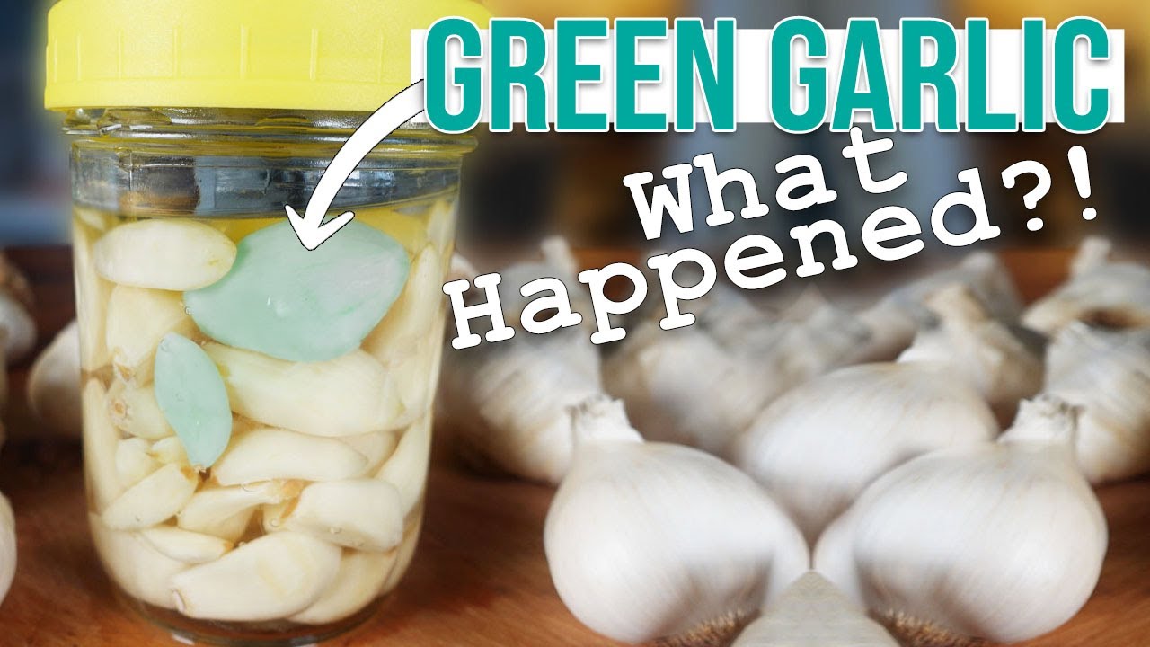 WHY GARLIC TURNS GREEN (or blue) IN VINEGAR & FERMENTATIONS - Is Green Garlic Safe To Eat?