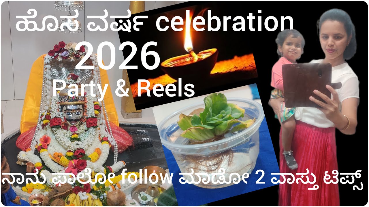 2026 ಹೊಸ ವರ್ಷದ Celebration | ನಾನು follow ಮಾಡುತ್ತಿರುವ  2 ವಾಸ್ತು ಟಿಪ್ಸ್  | Party and Reels #dailyvlog 