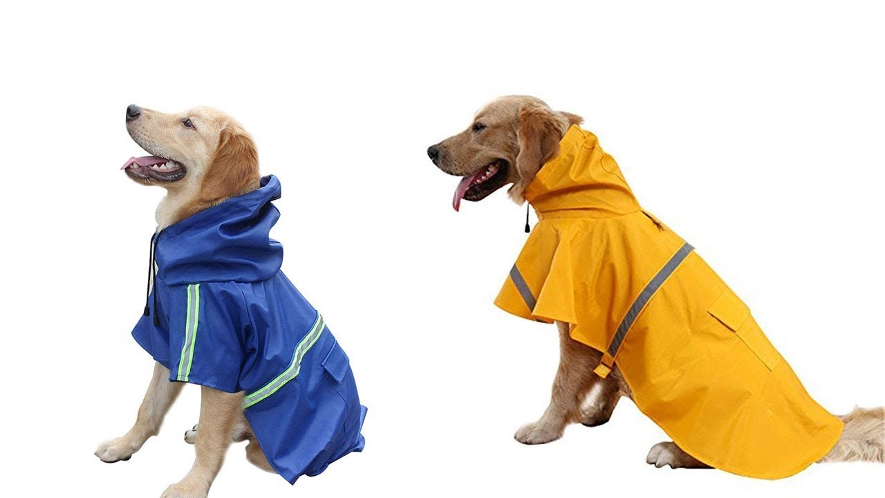 The Best Dog Raincoats - Top 5 Dog Raincoats Reviews