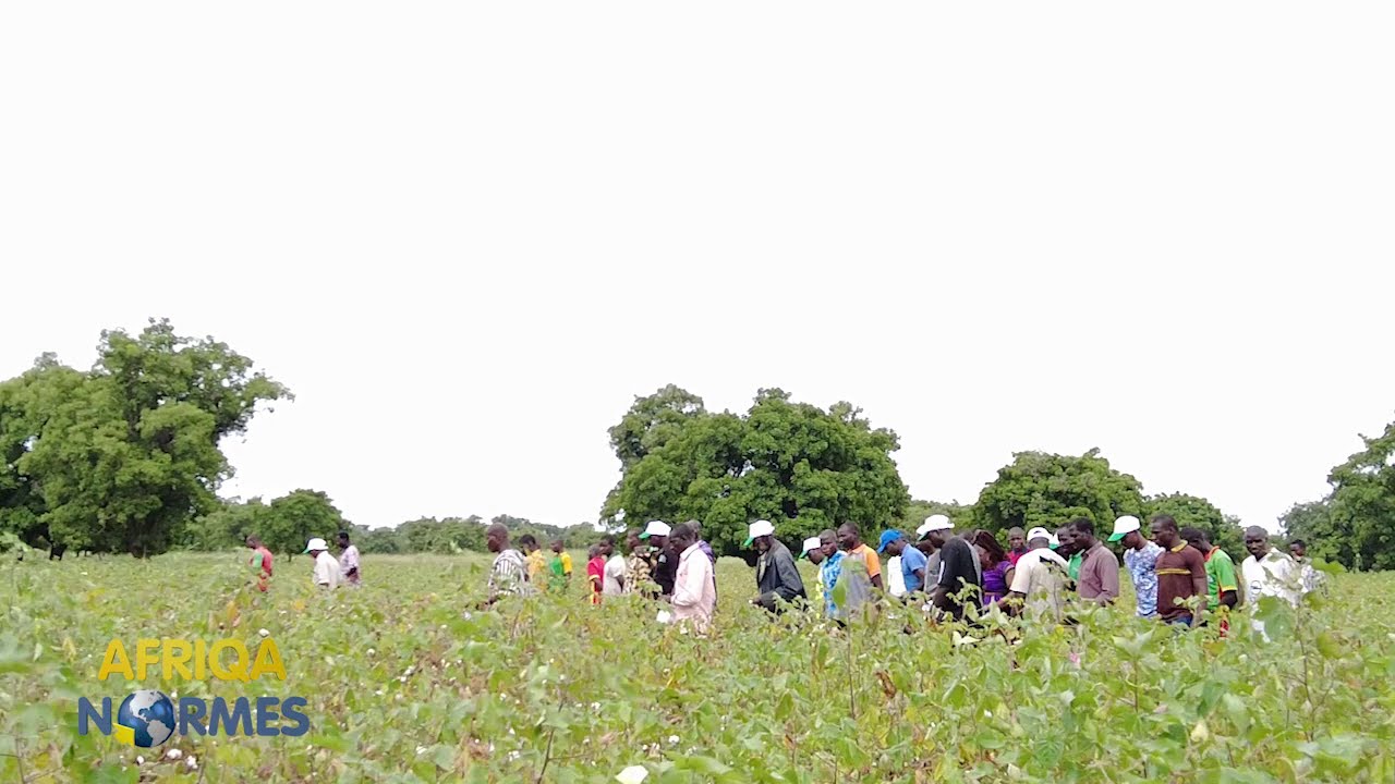 Sol fertile : Un engrais bio pour enrichir les terres et amélioré les rendements agricoles