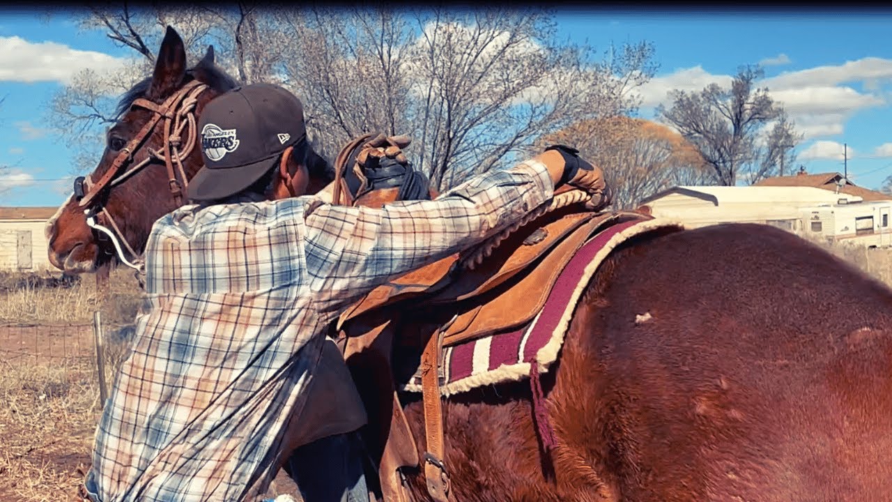 RIDING AN OLDER HORSE FOR THE FIRST TIME EVER😮