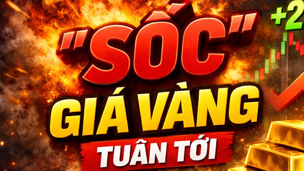 KỊCH BẢN SỐC CHO GIÁ VÀNG TUẦN TỚI: CƠ HỘI LÀM GIÀU HAY BẪY RỦI RO?