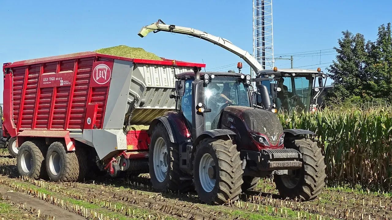 Mais Silage | Claas Jaguar 960 + Valtra | Dreierink | 2019