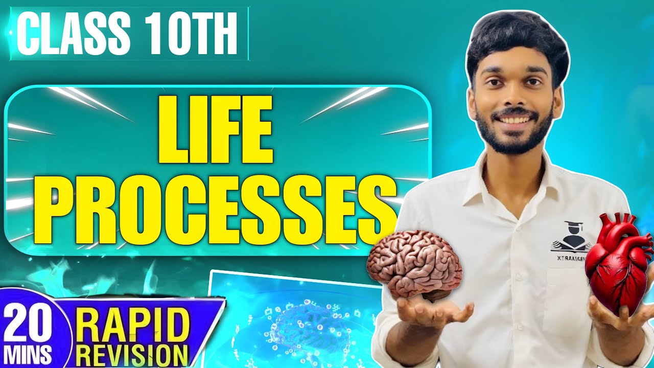 Life Processes Class 10 🔥Full Chapter Rapid Revision in 20 Minutes | CBSE NCERT Science|Rohit Sharma