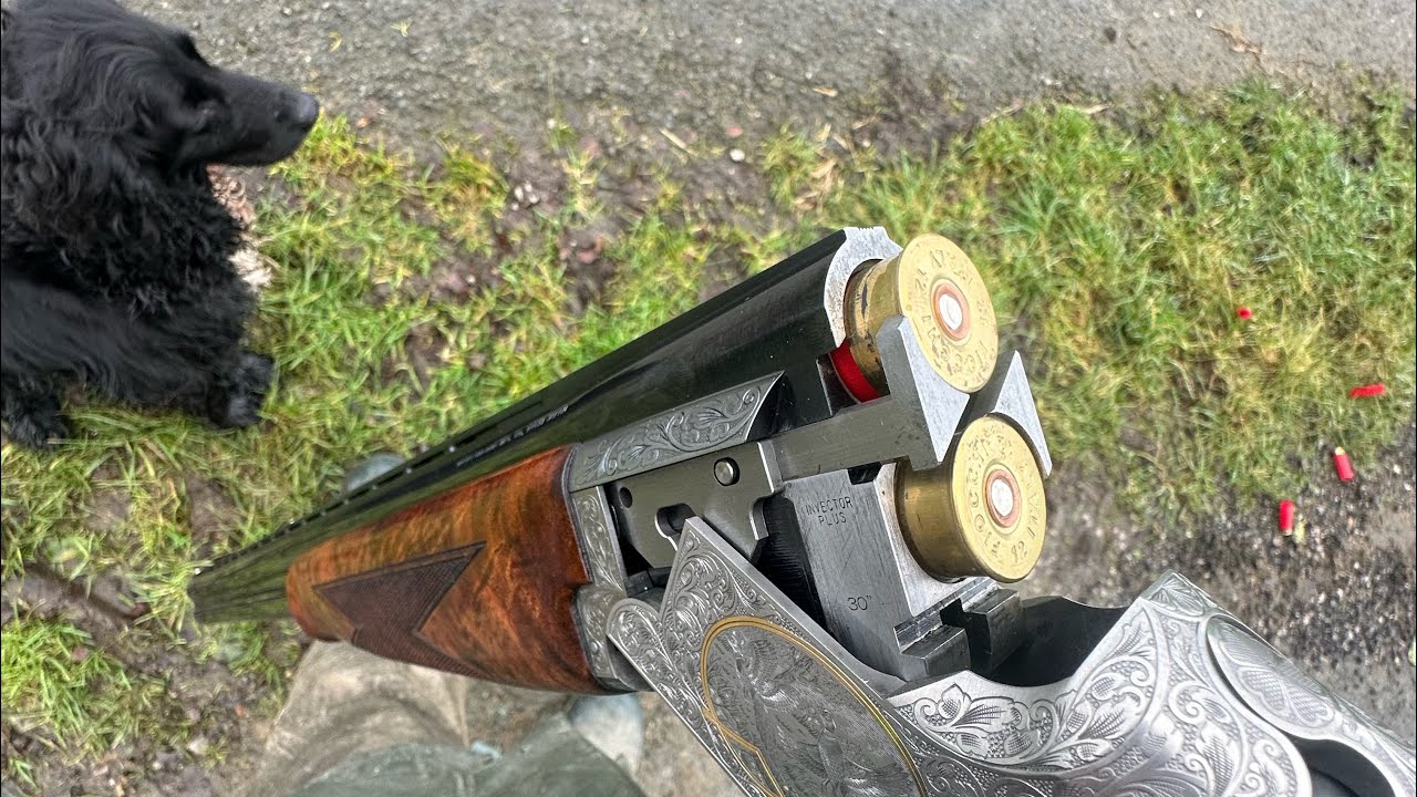 Last day of the pheasant shooting season 2026