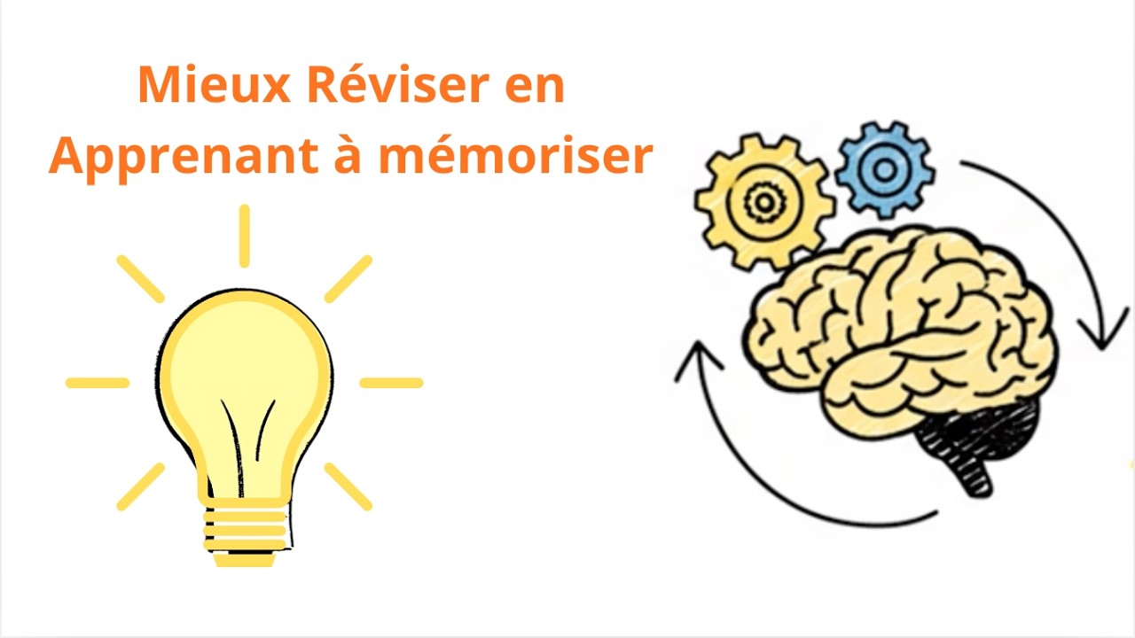 Tu révises MAL : les techniques de mémorisation qui marchent vraiment