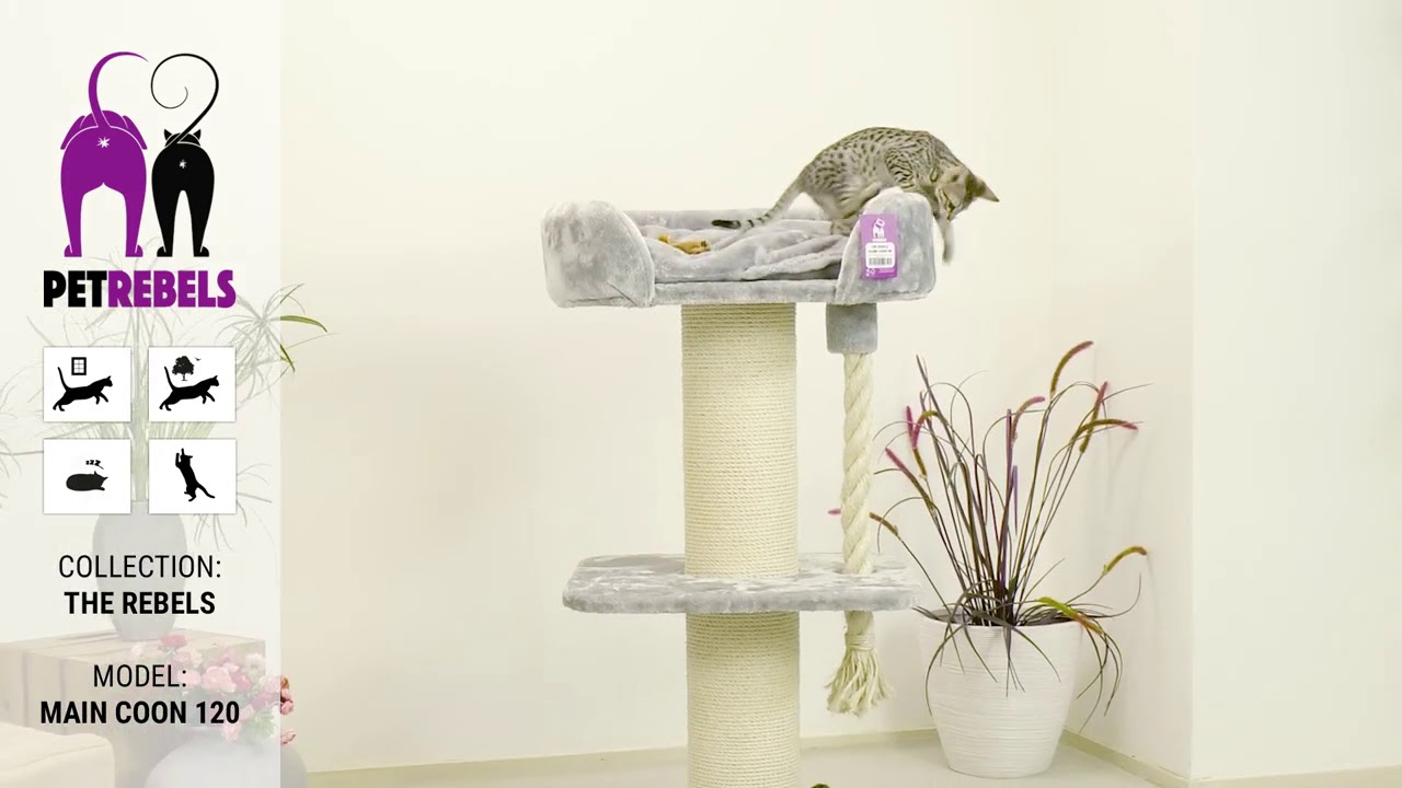 PETREBELS THE REBELS   MAINE COON 120cm (Cat Tree UK)