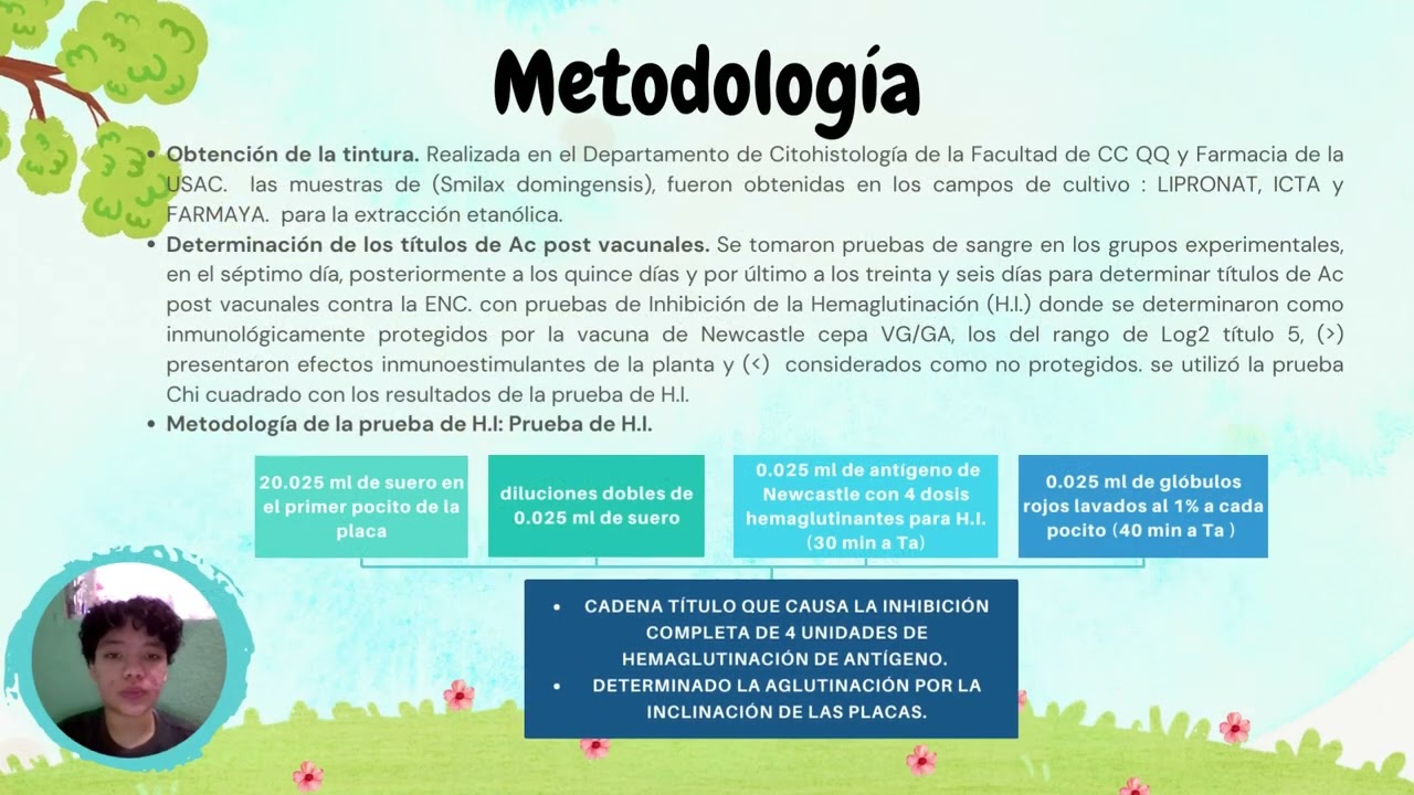 Video revisi&oacute;n de la tesis
