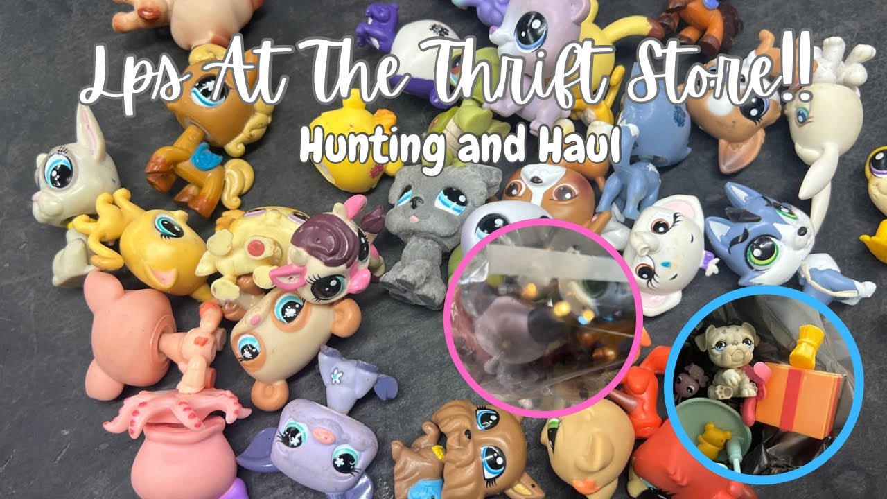 Lps at the thrift store!! (Hunting and Haul)